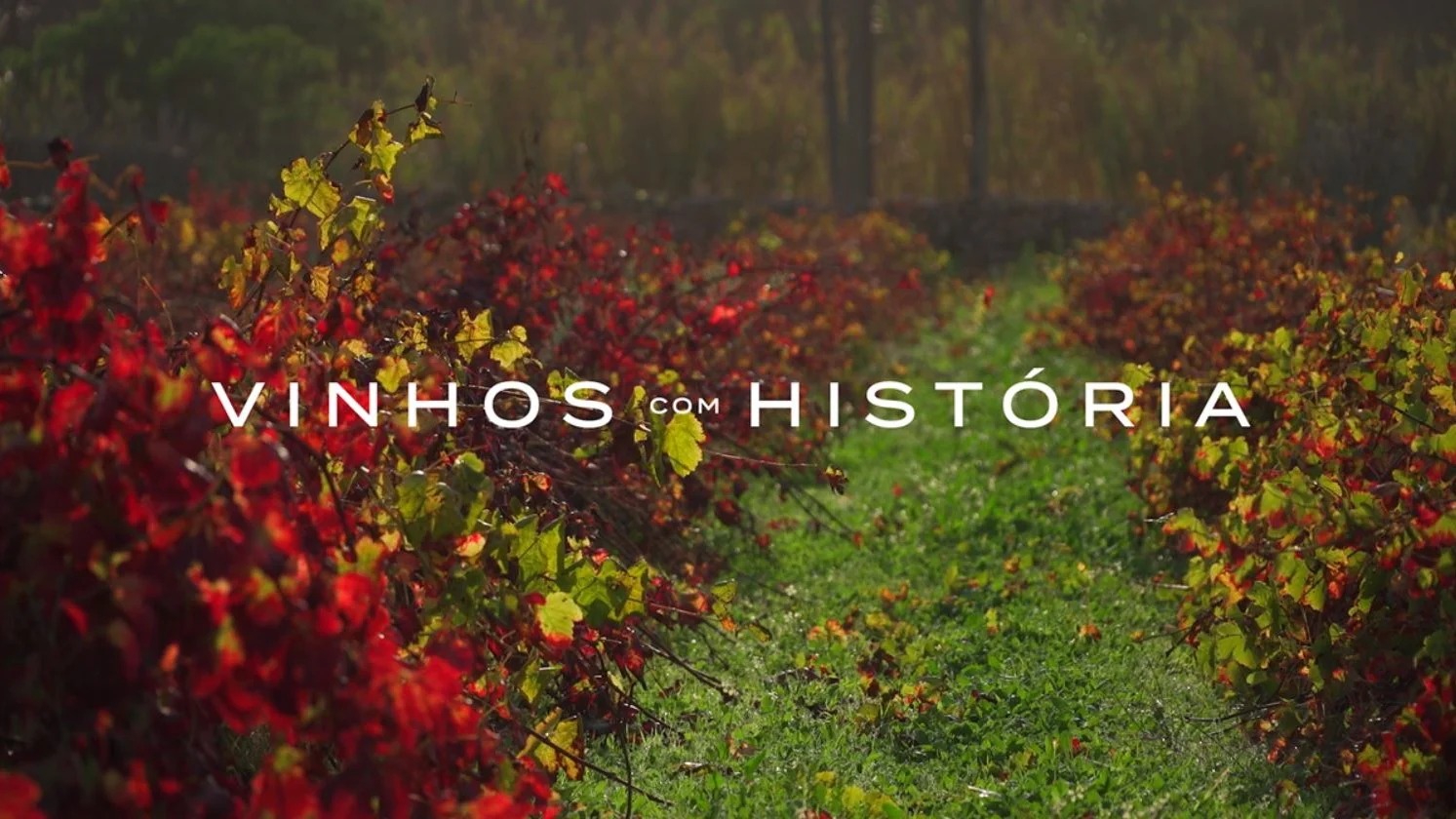 Documentário Vinhos com História