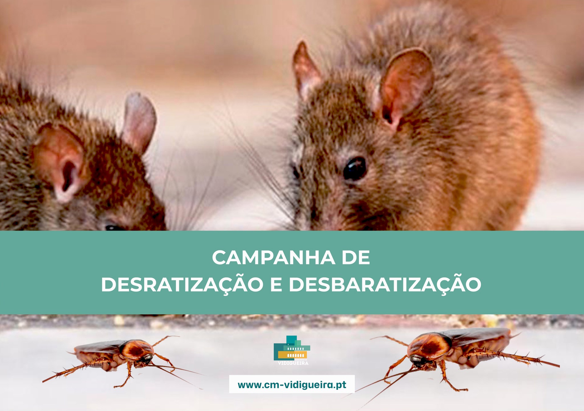 6.ª Campanha de Desratização e Desbaratização de 2024 6.ª Campanha de Desratização e Desbaratização de 2024