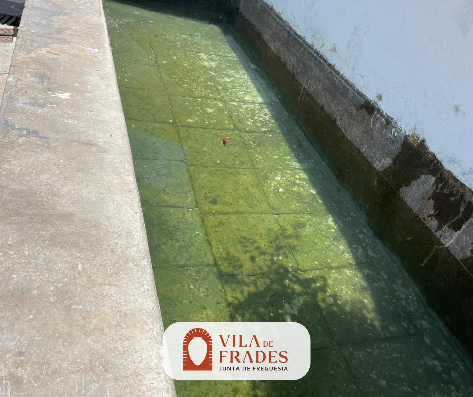 Limpeza e Manutenção dos Tanques do Ribeiro da Vila Limpeza e Manutenção dos Tanques do Ribeiro da Vila