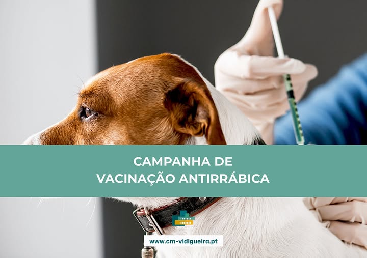 Campanha de Vacinação Antirrábica Campanha de Vacinação Antirrábica