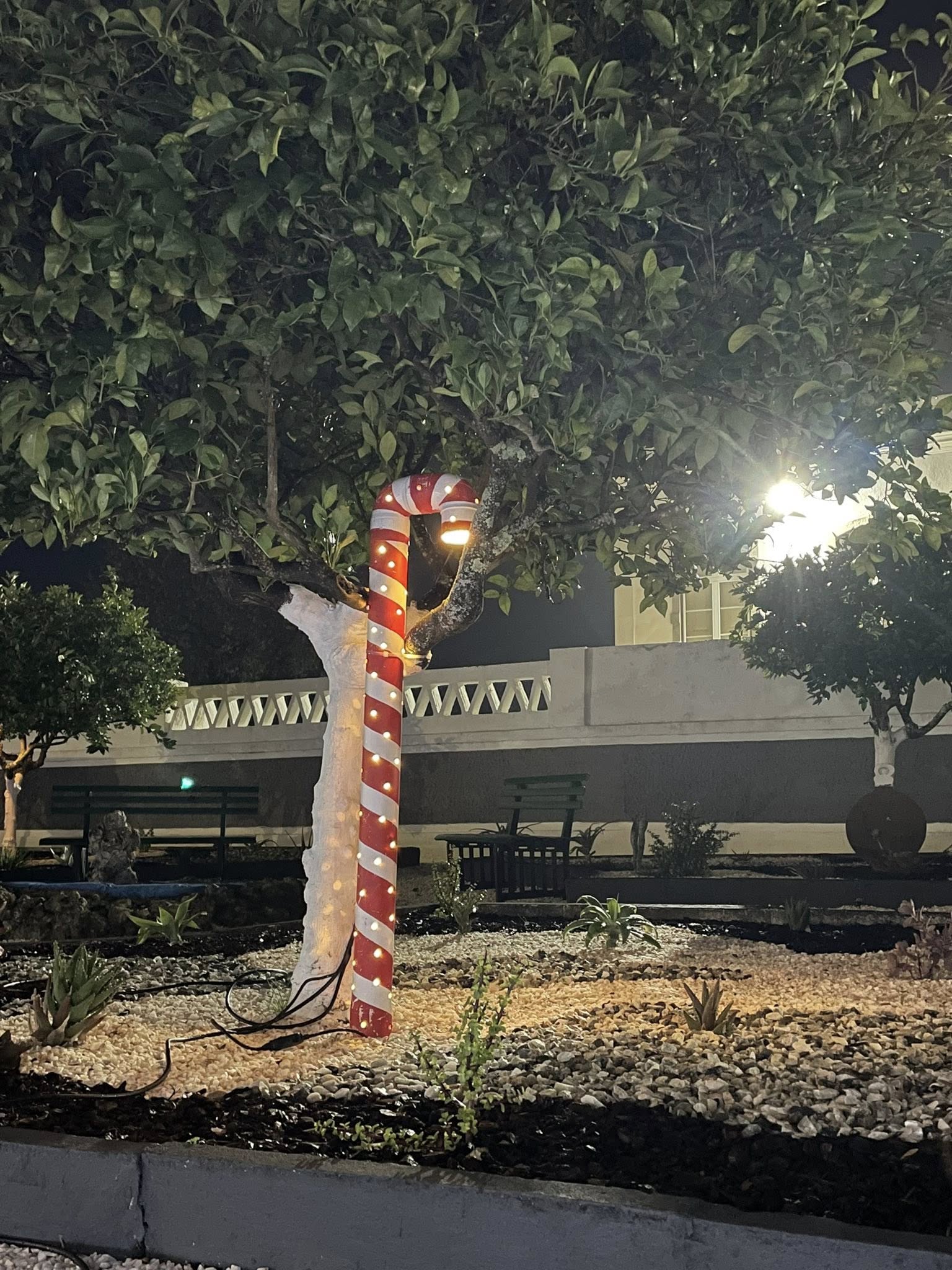 Iluminações e Decorações de Natal 2025