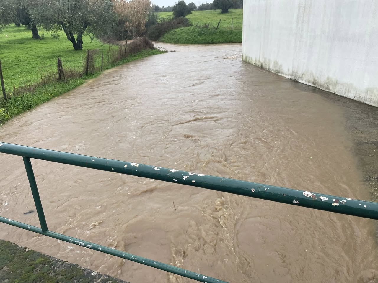 Alerta à População