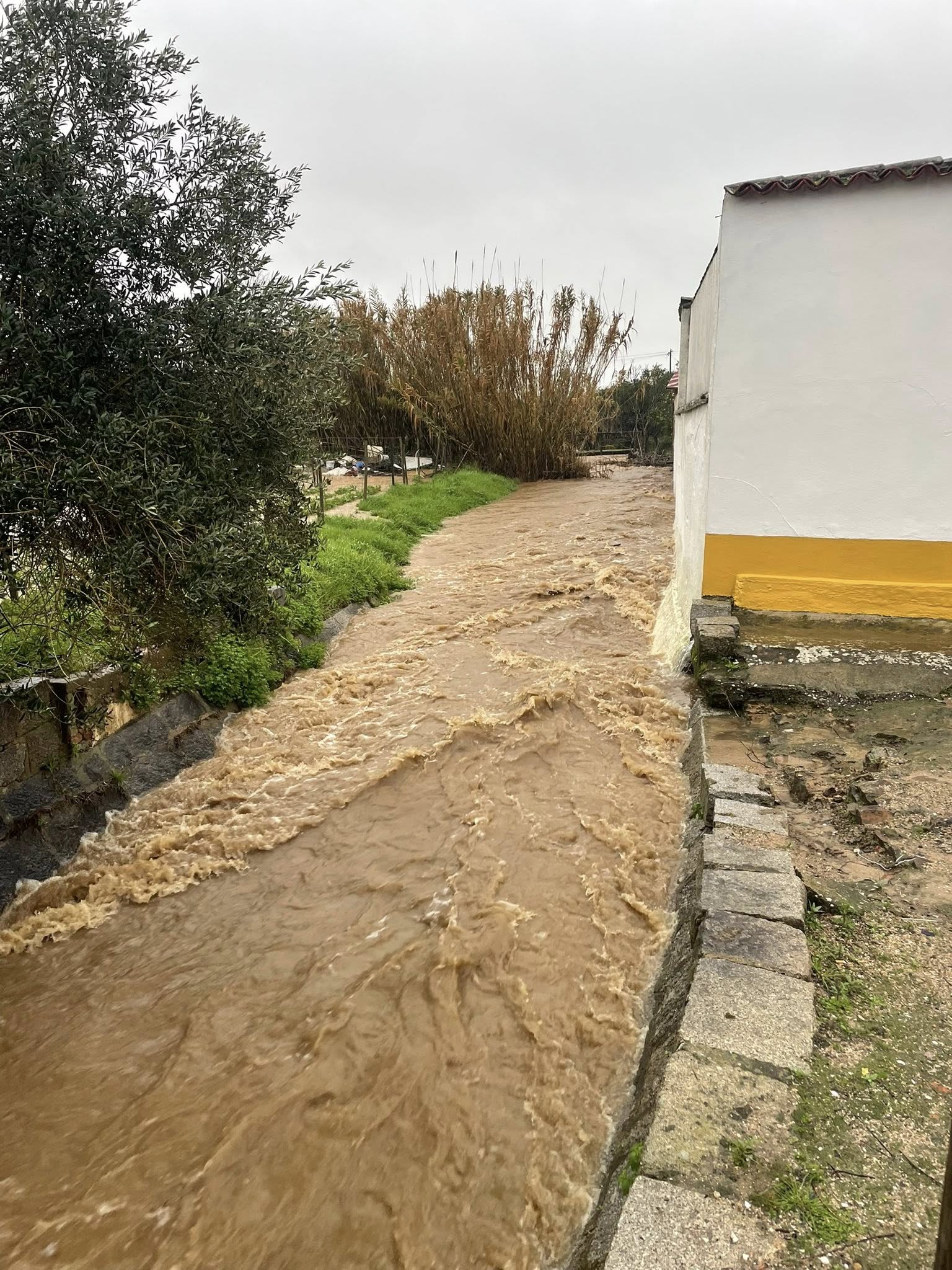 Alerta à População