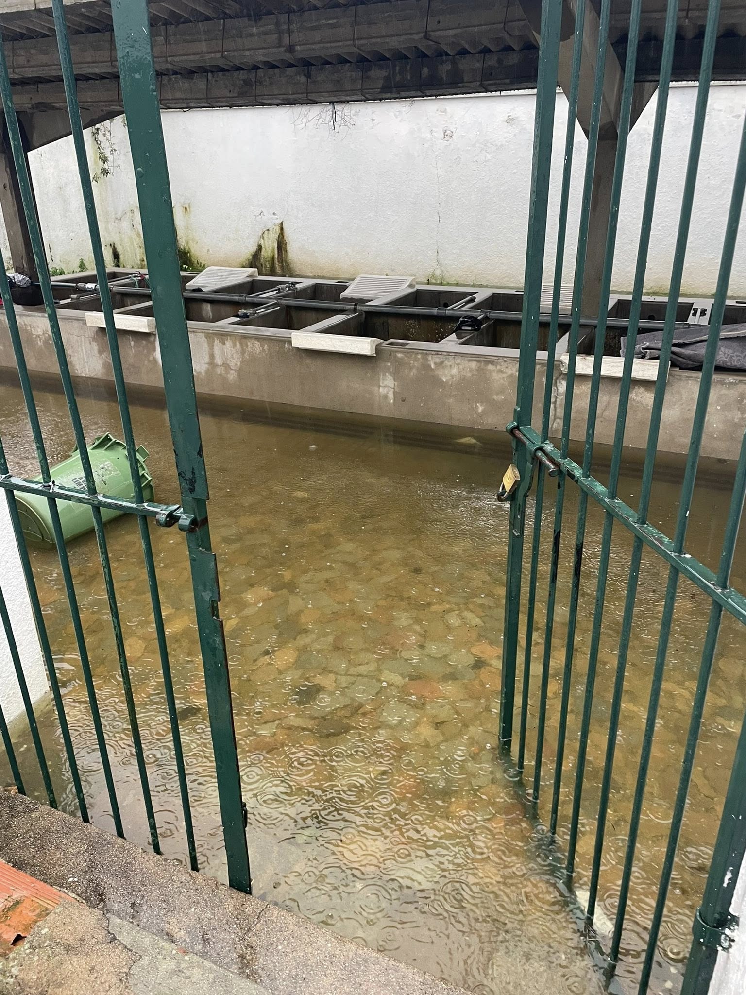 Alerta à População