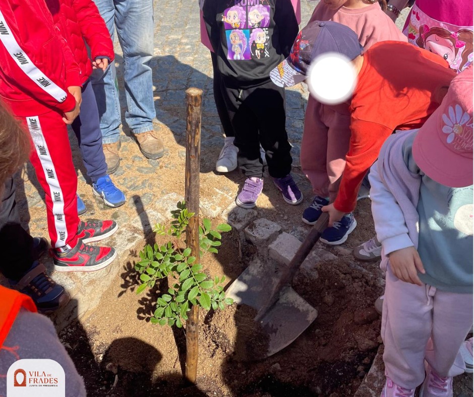 Dia Mundial da Árvore