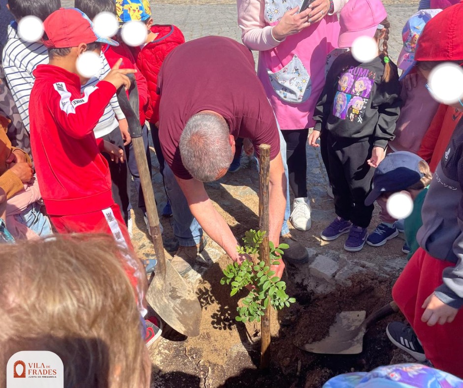 Dia Mundial da Árvore