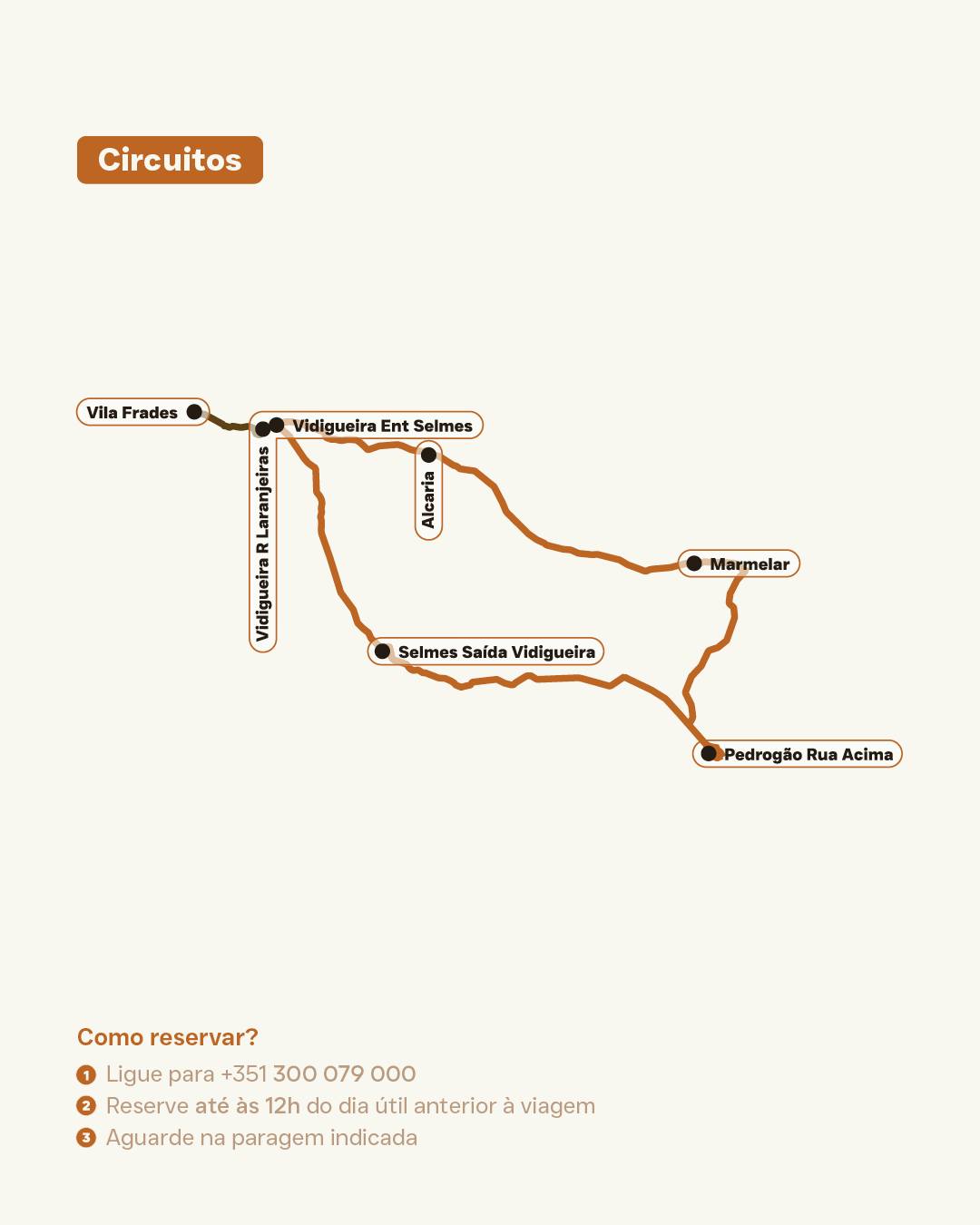 Transporte Flexível Linis