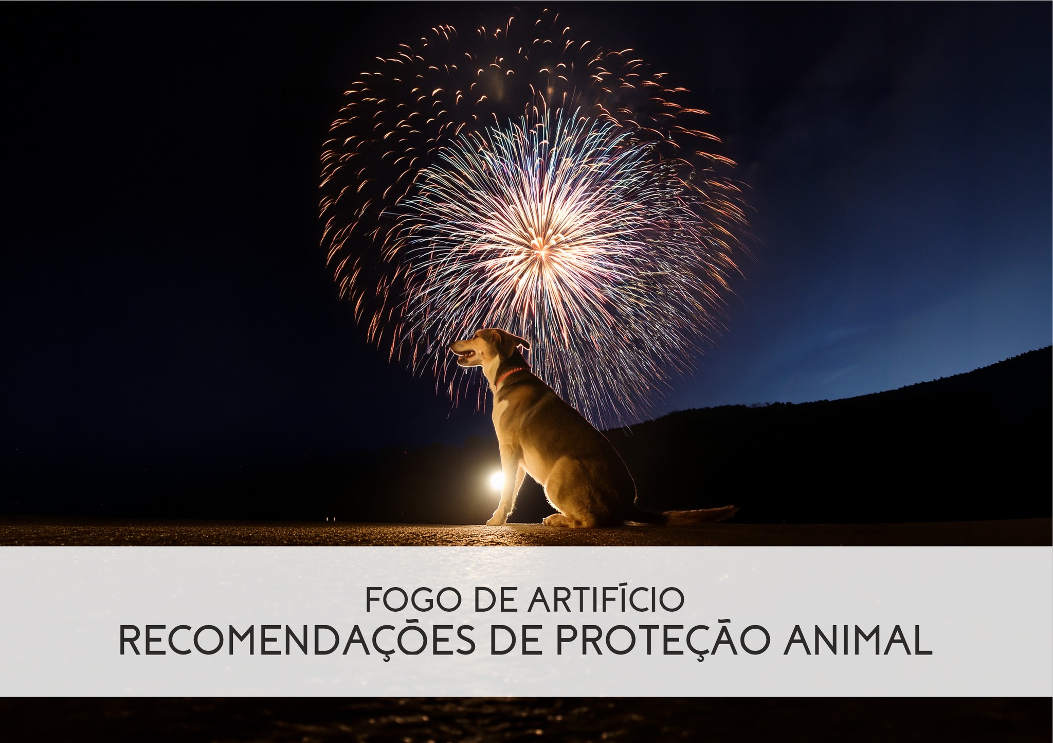 Fogo de Artifício: Recomendações para a Protecção Animal