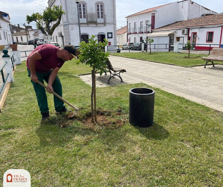 Manutenção e Limpezas