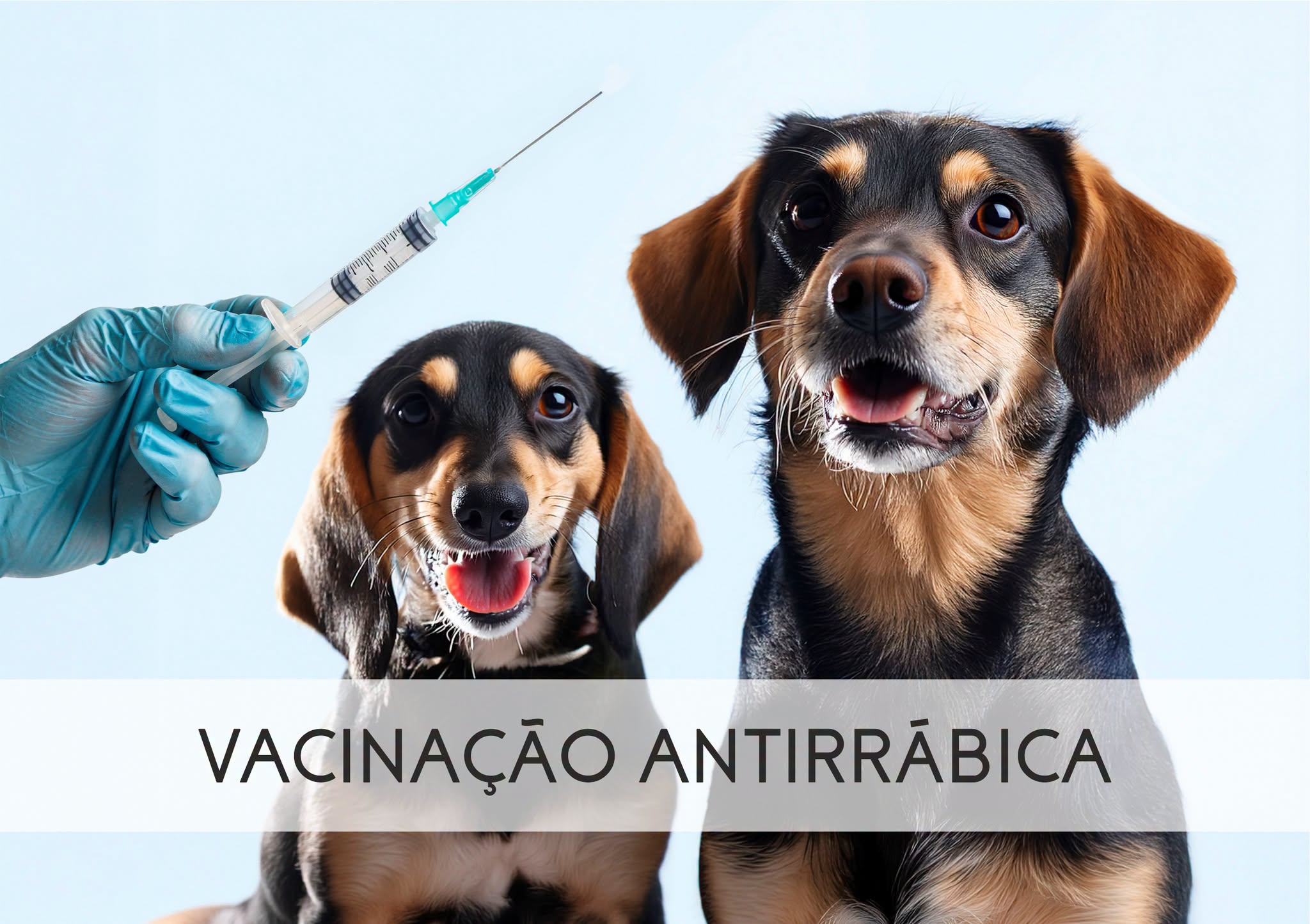 Vacinação Antirrábica 2026