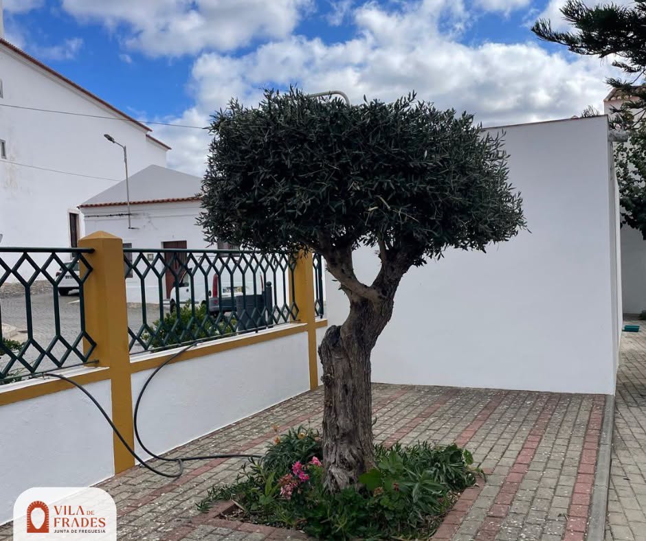Manutenção do Edifício da Junta de Freguesia